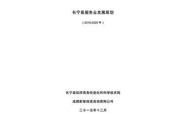 长宁县经济商务信息化和科学技术局服务业发展规划项目